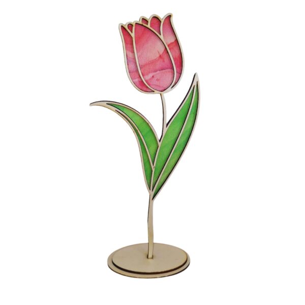 Tulipe durable