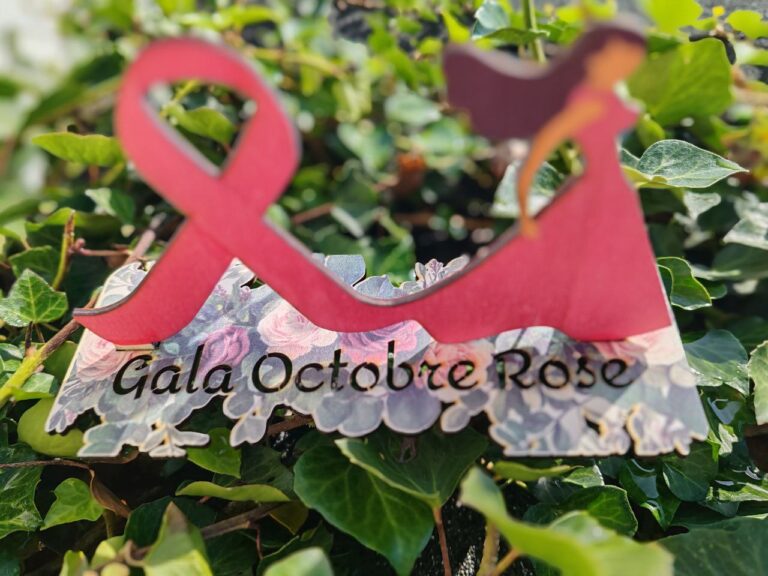 2024 - Création Gala Octobre Rose par Atelier Aby Plérin Côtes d'Armor Bretagne