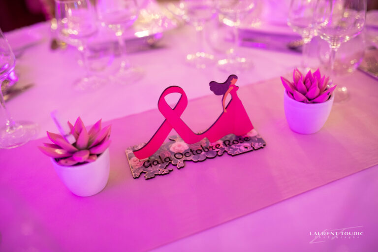 2024 Gala Octobre Rose - photo de Laurent Toudic
